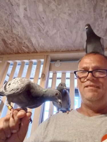 Homing pigeons program at Beaver Creek Wildlife Education Center